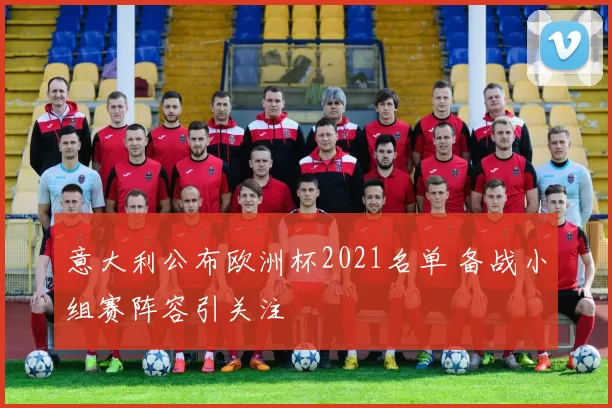 意大利公布欧洲杯2021名单 备战小组赛阵容引关注