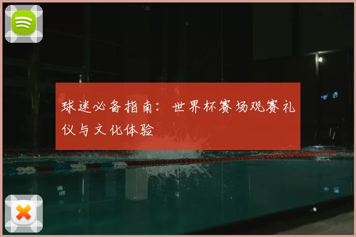 球迷必备指南:世界杯赛场观赛礼仪与文化体验