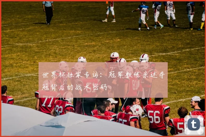 世界杯独家专访:冠军教练亲述夺冠背后的战术密码