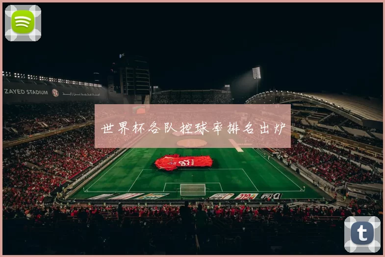 世界杯各队控球率排名出炉