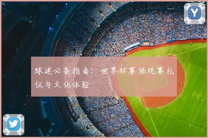 球迷必备指南：世界杯赛场观赛礼仪与文化体验