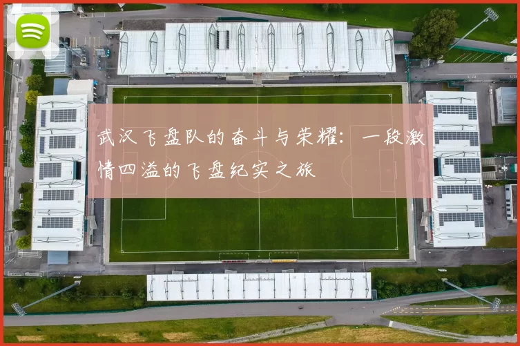 武汉飞盘队的奋斗与荣耀：一段激情四溢的飞盘纪实之旅