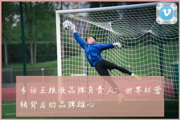 专访五粮液品牌负责人：世界杯营销背后的品牌雄心