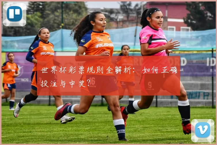世界杯彩票规则全解析:如何正确投注与中奖?