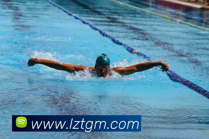 华体会平台生态图